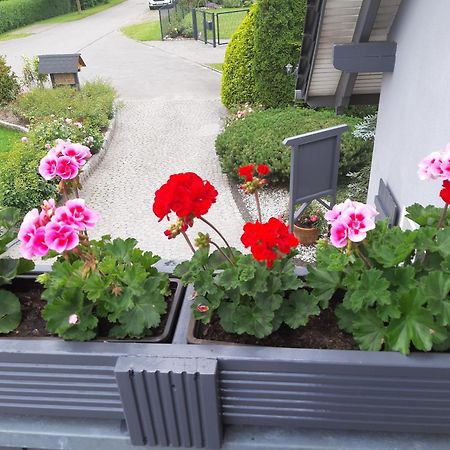 Auf Dem Hufen Apartment Рибниц-Дамгартен Екстериор снимка