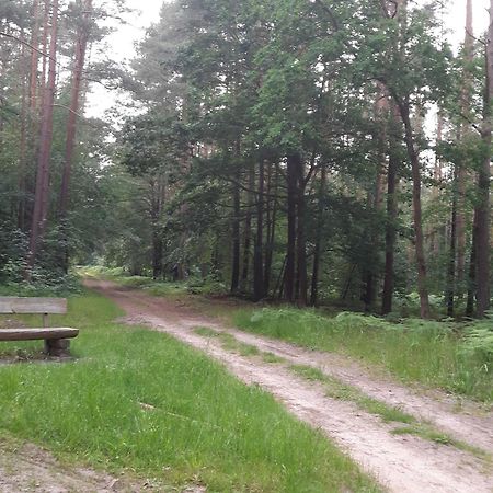 Auf Dem Hufen Apartment Рибниц-Дамгартен Екстериор снимка