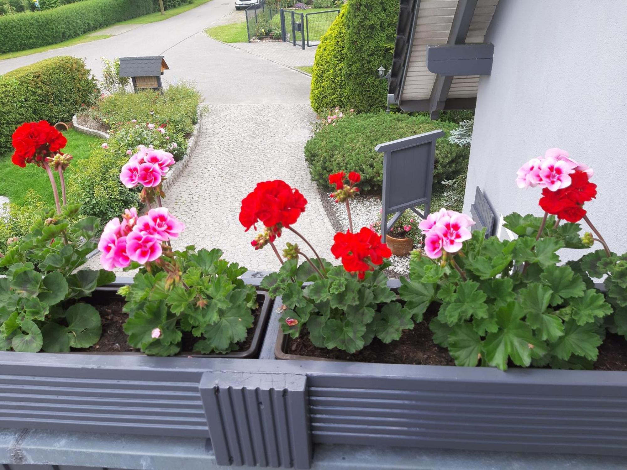 Auf Dem Hufen Apartment Рибниц-Дамгартен Екстериор снимка